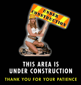 Construction Logo